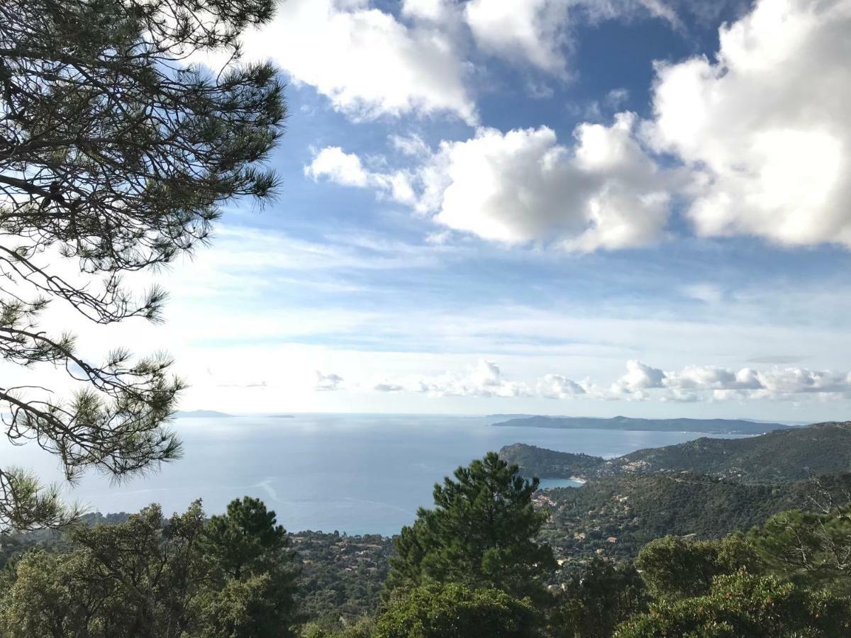 Apartmán T2 Moderne Avec Jardin Le Le Rayol-Canadel-sur-Mer Exteriér fotografie
